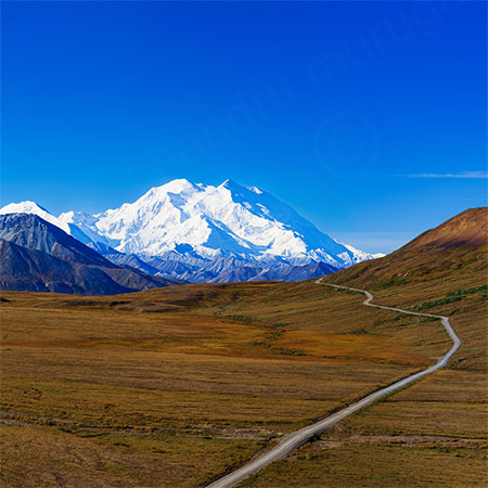 The one and only Denali