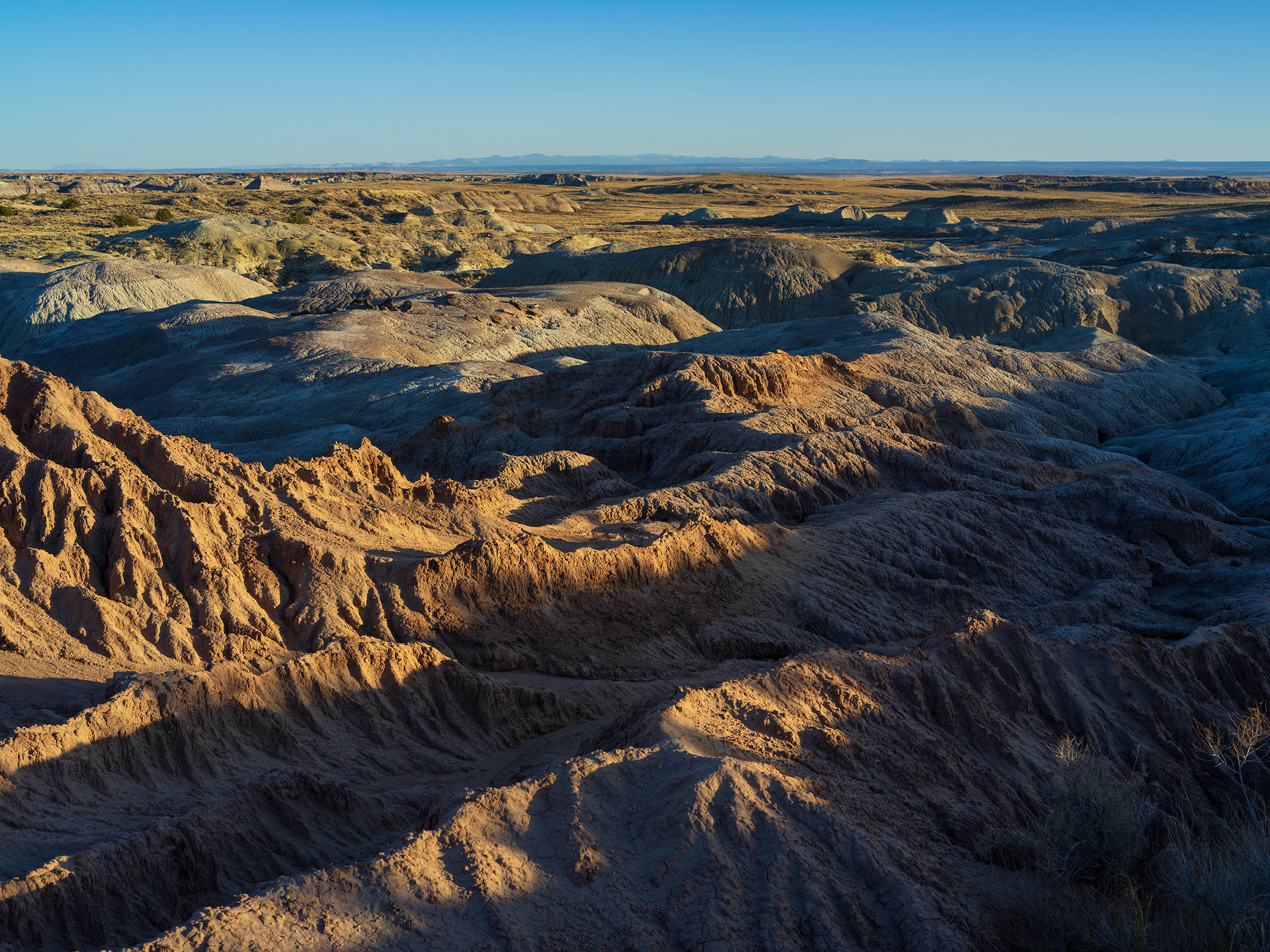 B0000367-2.jpg