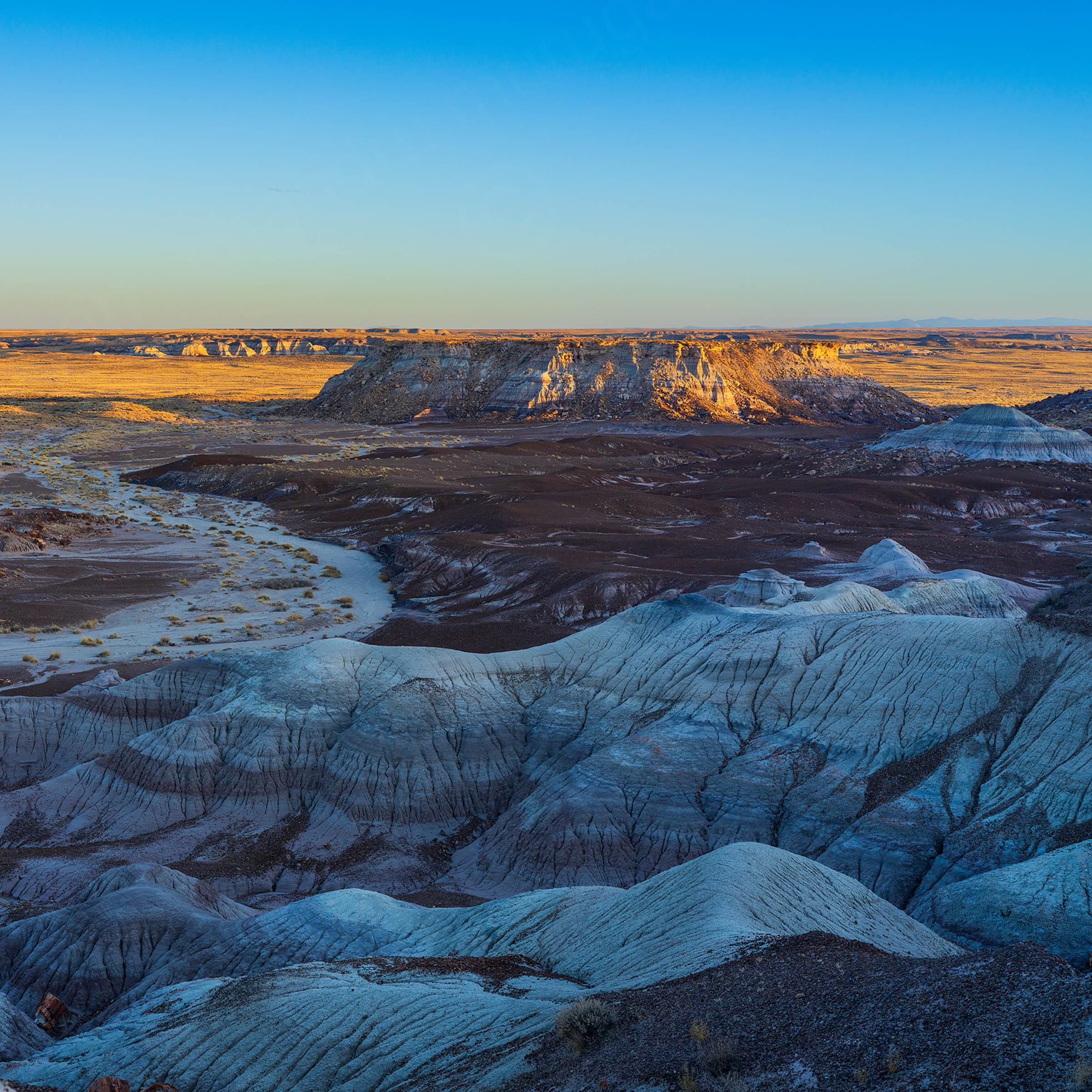 B0000377-2.jpg